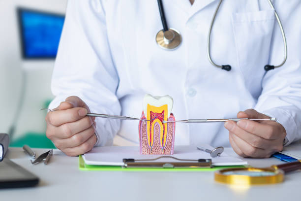 Best Broken or Cracked Tooth Emergency Dentist in Perrysburg, OH